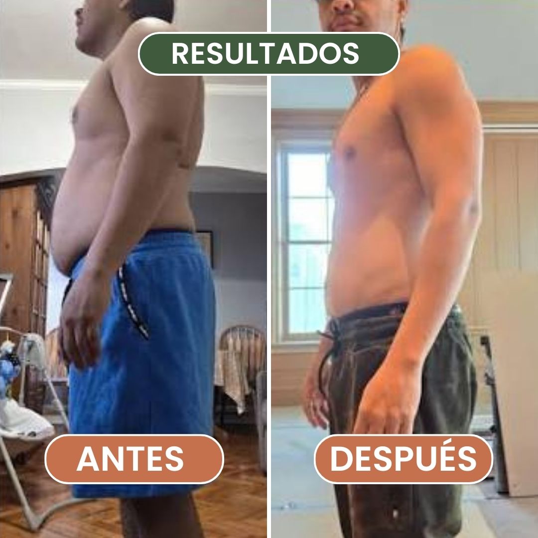 El Método Plato & Forma