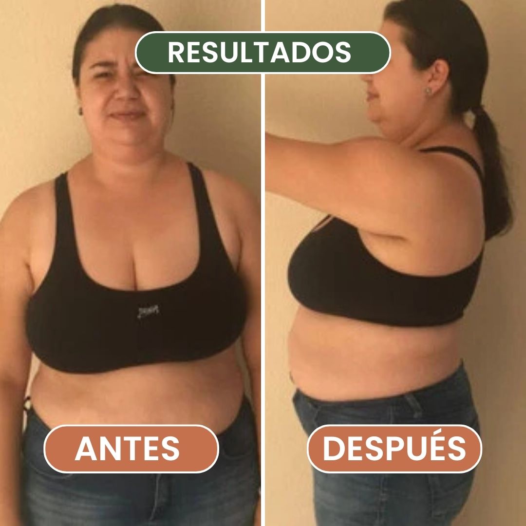 El Método Plato & Forma