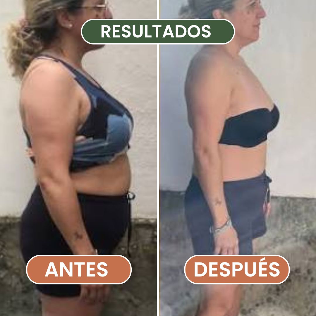 El Método Plato & Forma