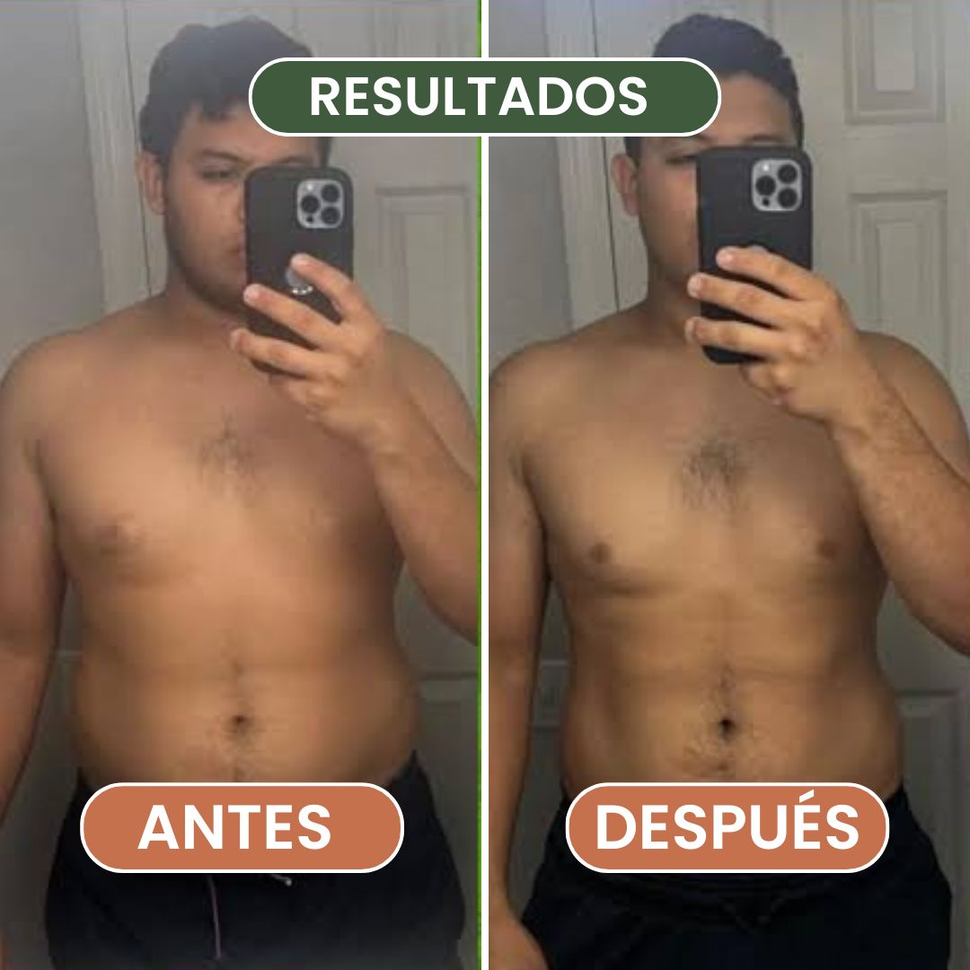 El Método Plato & Forma